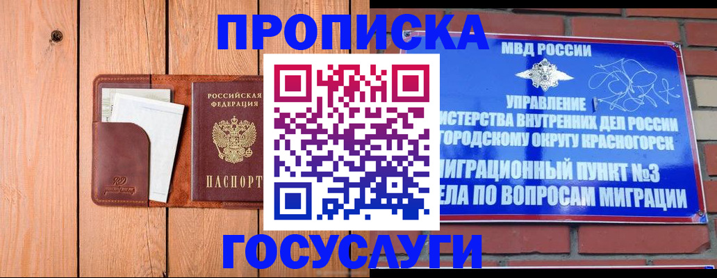 регистрация в Стародубе